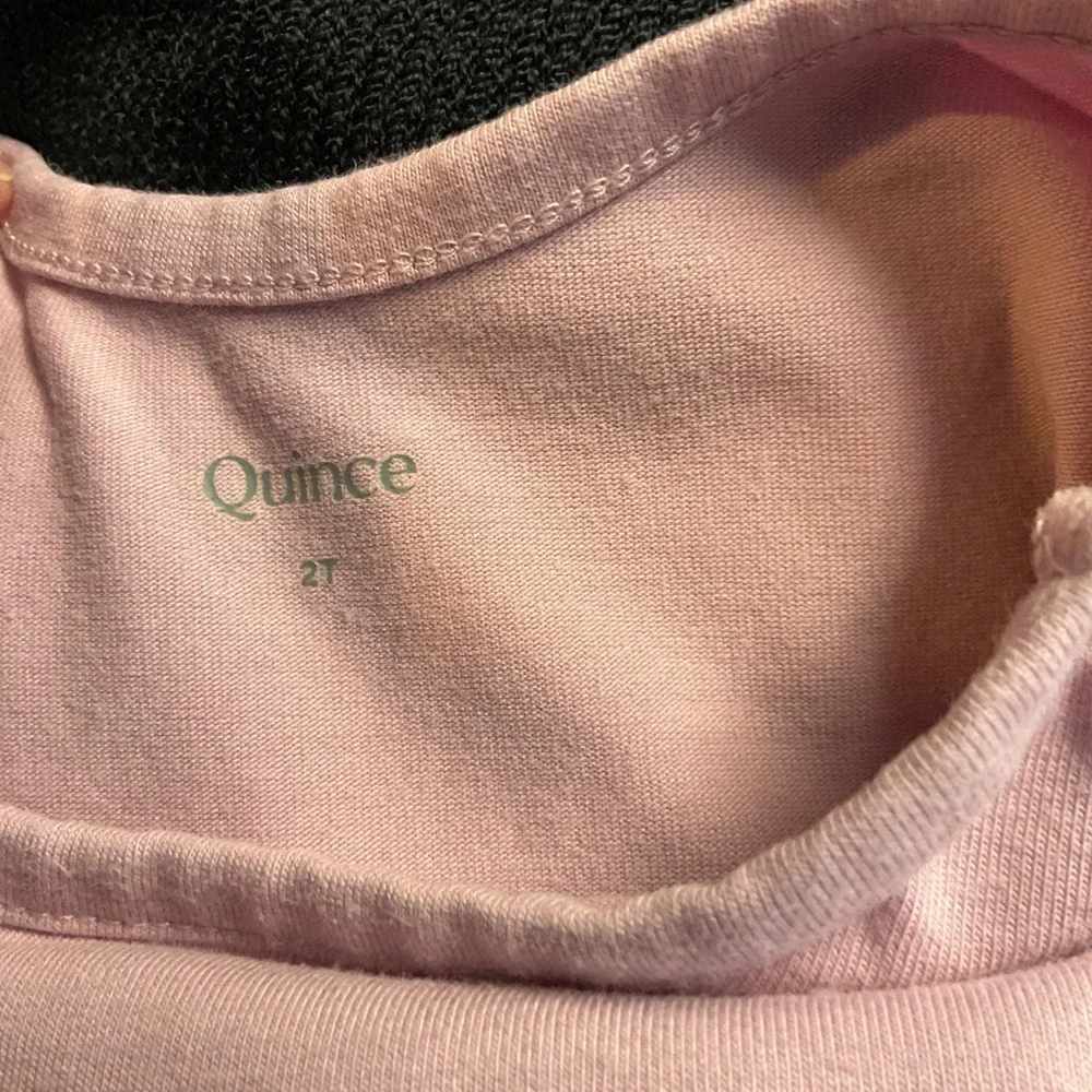 Quince Tutu Dress Kids 2T Mauve Pink Good Organic Cotton Tulle Ballet Fairycore